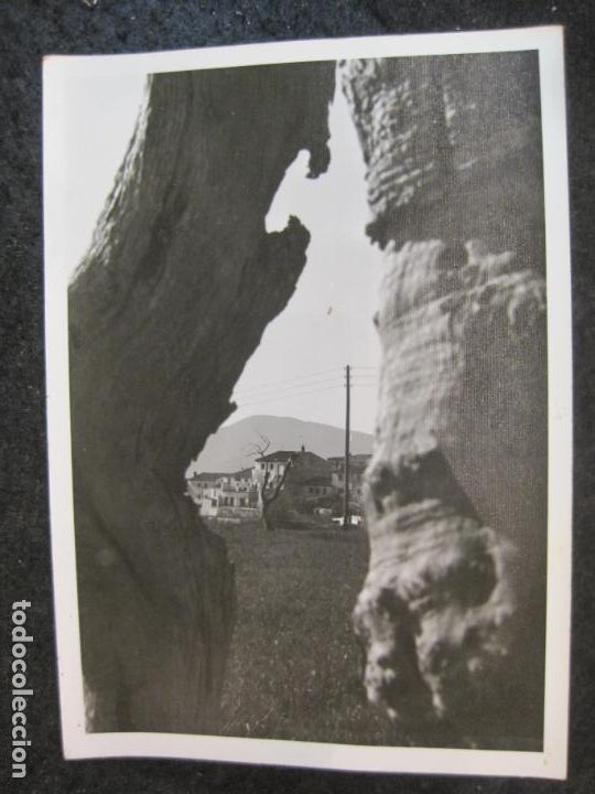 Postais: TORTELLA-COLECCION VISTAS PARCIALES DE TORTELLA-POSTAL ANTIGUA-(84.886)