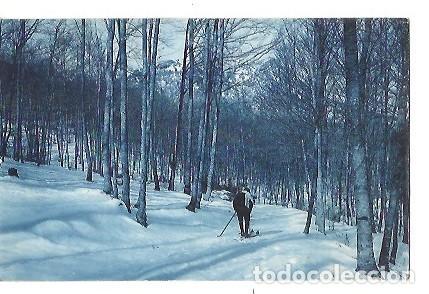Postkarten: ANTIGUA POSTAL 19 GRAN HOTEL DE STA FE DEL MONTSENY CAMINO DE LAS AGUDAS L ROISIN