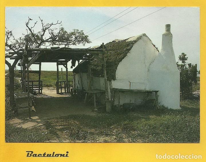 Postales: Deltebre (Delta del Ebro). Barraca - Foto 1