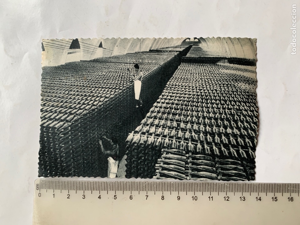 Postales: POSTAL. CASA CODORNIU. SAN SADURNI DE NOYA. UNA BODEGA EN INVIERNO. A&Ntilde;O 1960.