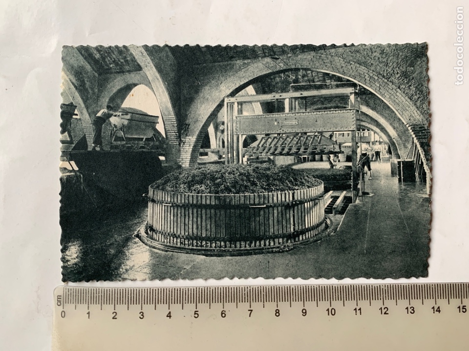 Postales: POSTAL. CASA CODORNIU. SAN SADURNI DE NOYA. UNA DE LAS PRENSAS. A&Ntilde;O 1960.