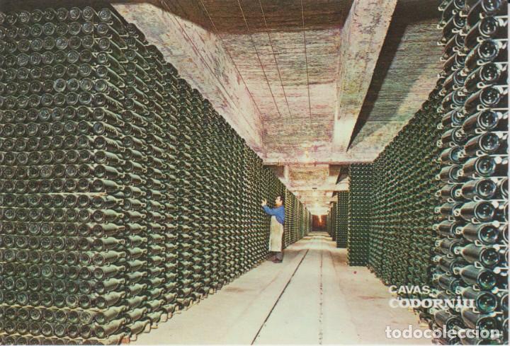 Postales: (17088) CAVAS CODORNIU. BOTELLAS ENVEJECIENDO ... SIN CIRCULAR