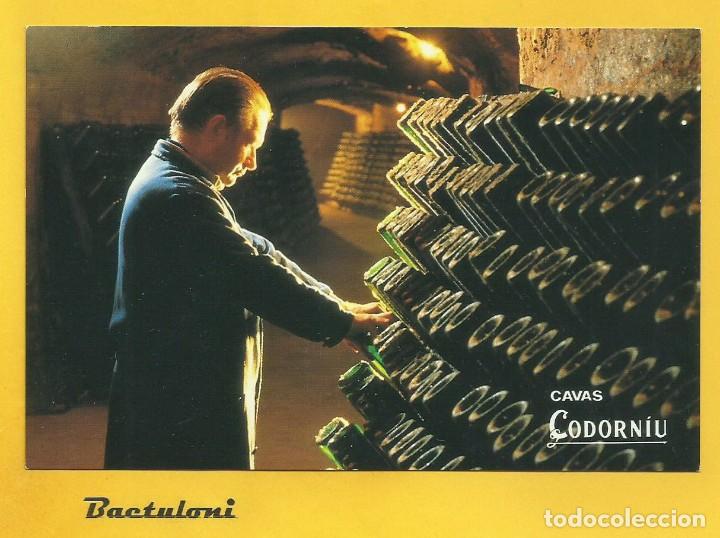 Postales: Sant Sadurn&iacute; dAnoia. Cavas Codorniu - Foto 1