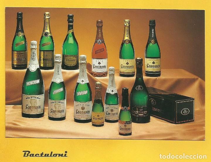 Postales: Sant Sadurn&iacute; dAnoia. Cavas Codorniu - Foto 1