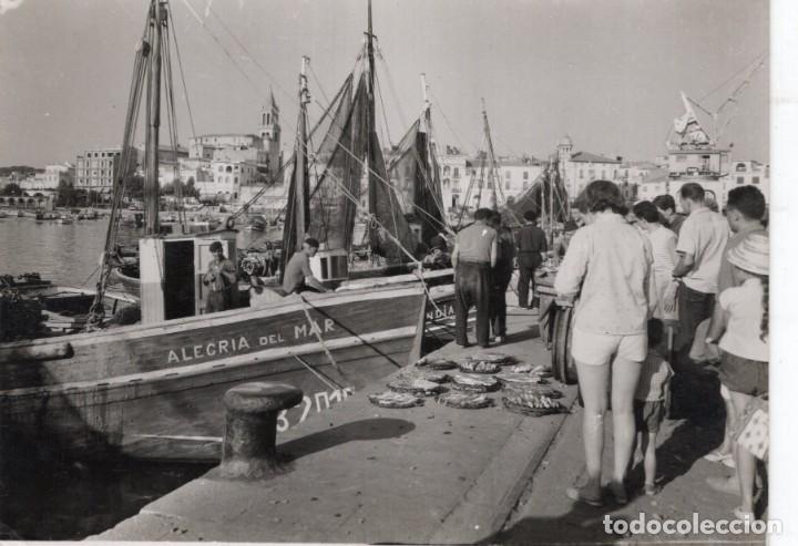 Postales: Palam&oacute;s - Foto 1