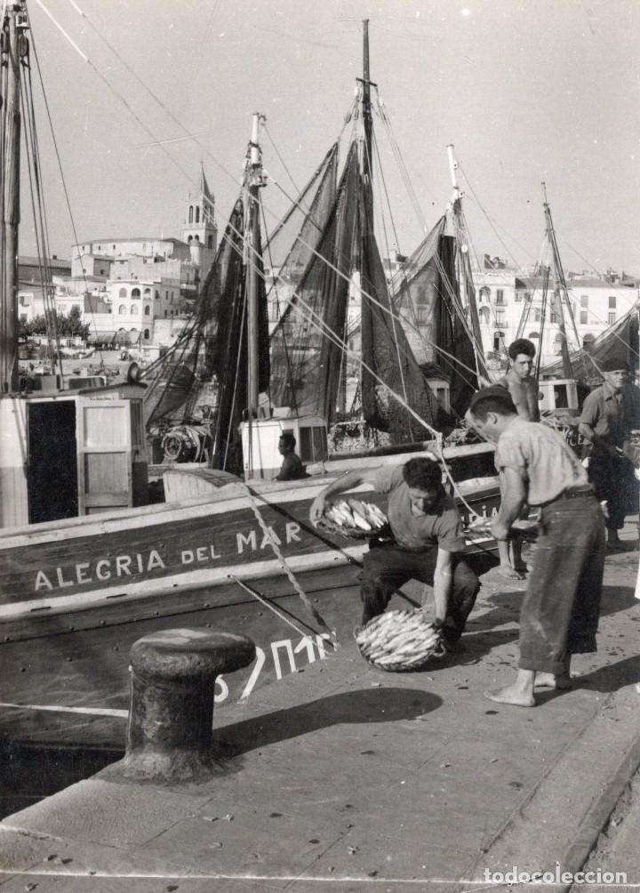 Postales: Palam&oacute;s - Foto 1