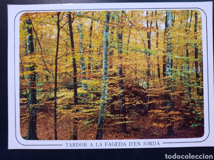 Postales: Postal de.Gerona.Parc.Natural - Foto 1