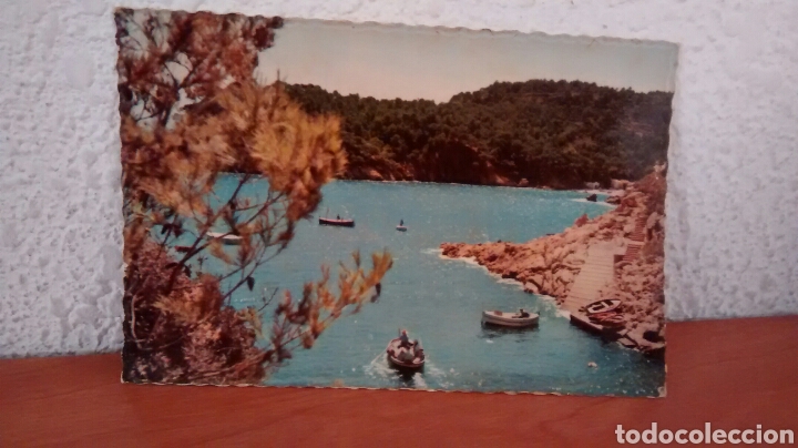 Postales: FORNELLS. AL FONDO AIGUABLAVA. COSTA BRAVA. A&Ntilde;OS 50 SIN CIRCULAR.