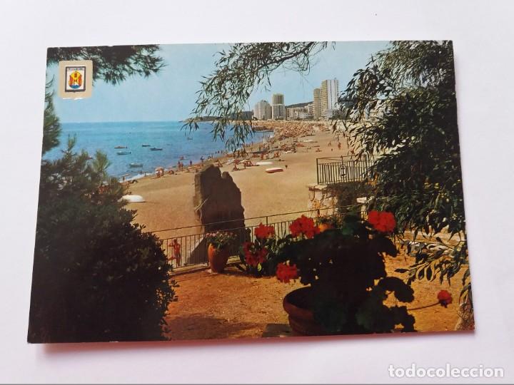 Postcards: POSTAL - COSTA BRAVA - PLAYA DE ARO - CABALL BERNAT Y DETALLE DE LA PLAYA - ESCUDO DE ORO 5463 - S/