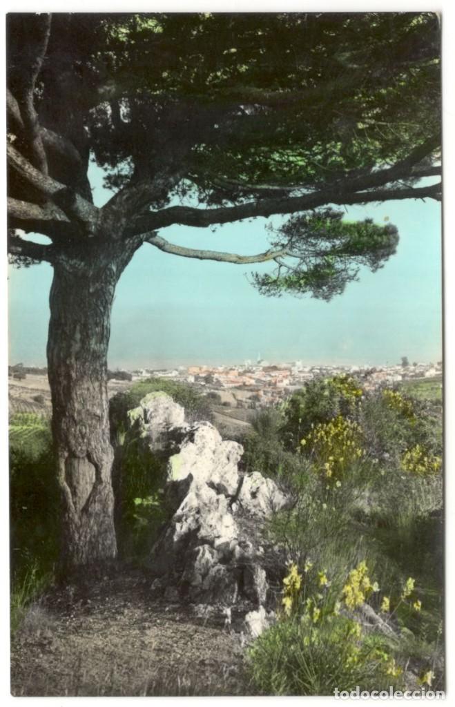 Cartoline: MASNOU: PI DE L'INDI&Agrave; Y VISTA PARCIAL