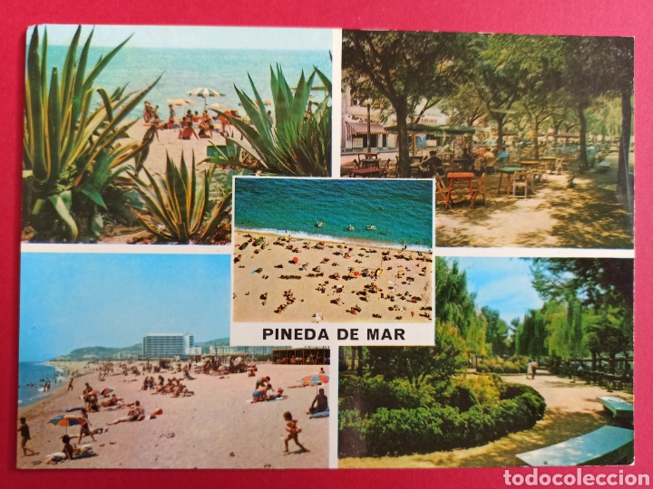 Postales: Pineda de Mar, Barcelona. - Foto 1
