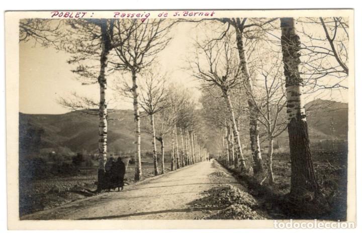 Cartes Postales: POSTAL FOTOGRAFICA. POBLET: PASSEIG DE SANT BERNAT. SIN CIRCULAR