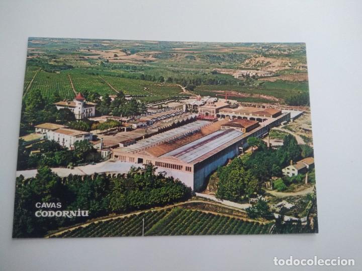 Postales: Postal cavas codorniu exteriores - Foto 1