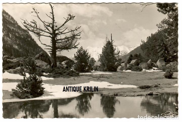 Postales: VALLE DE BOHI N&ordm; 463 PARQUE NACIONAL DE AIG&Uuml;ES TORTES / EDI. OFICINA DE TURISMO