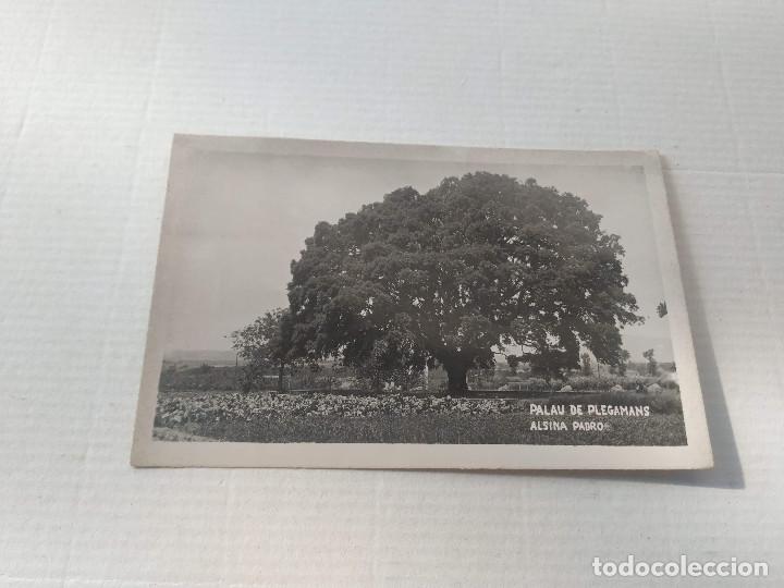 Postales: VALL&Egrave;S OCCIDENTAL - POSTAL PALAU DE PLEGAMANS - ALSINA
