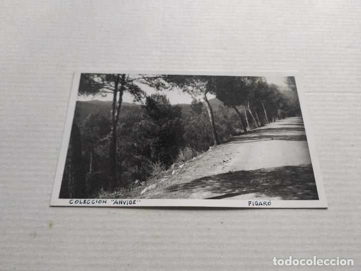 Postales: VALL&Egrave;S ORIENTAL - POSTAL FIGAR&Oacute; - COLECCI&Oacute;N ANVIBE
