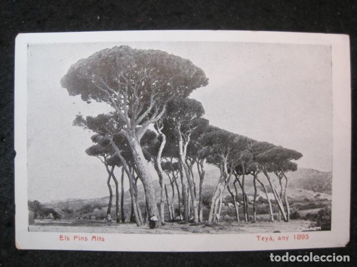 Cartes Postales: TEYA-ELS PINS ALTS-IMP CLAVE-POSTAL ANTIGUA-(87.645)