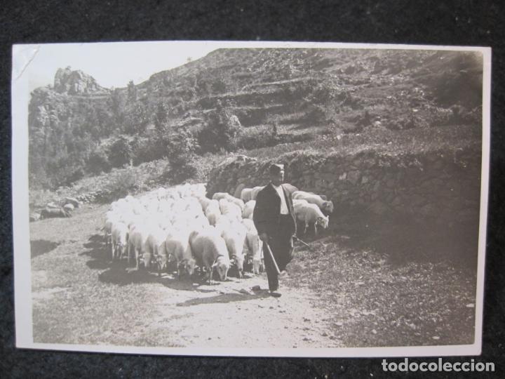 Postales: CATALUNYA-PASTORANT AMB LES OVELLES-FOTOGRAFICA-POSTAL ANTIGUA-(87.779)