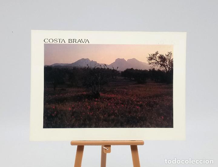 Postales: Postal 3134 Costa Brava (Gerona) - Foto 1