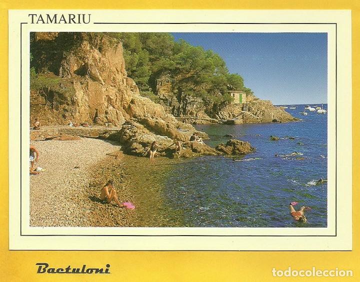 Postales: Tamariu. Playa dAigua Dol&ccedil;a - Foto 1