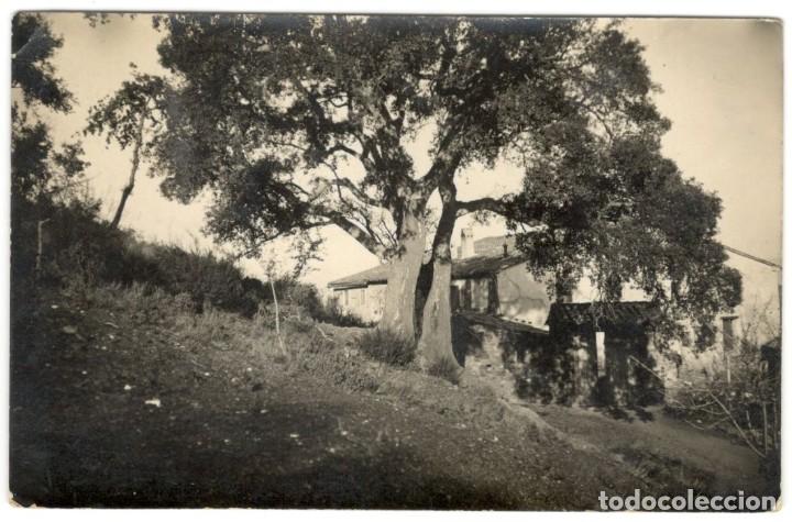 Cartoline: POSTAL FOTOGRAFICA: MAS&Iacute;A CON ARBOL. circulada en 1925