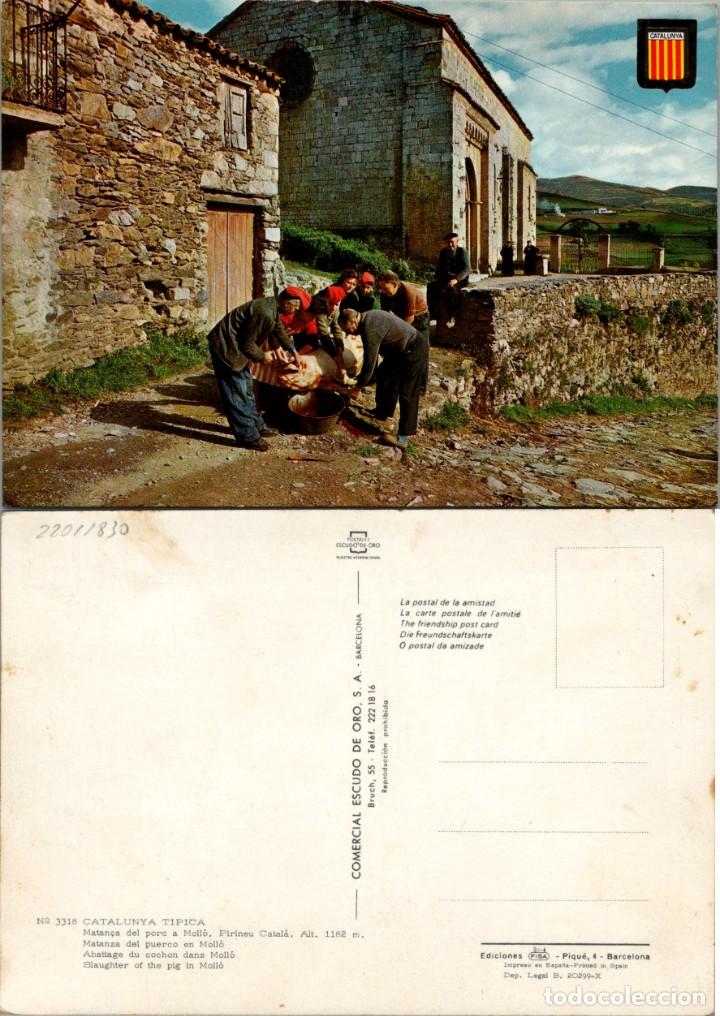 Postales: Catalunya T&iacute;pica - Matan&ccedil;a del porc a Moll&oacute; - Escudo de Oro n&ordm; 3318 - 150x105mm.