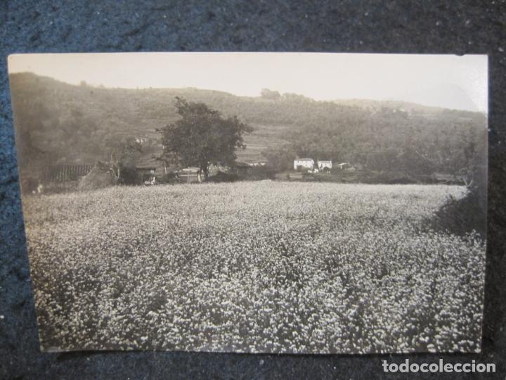 Postales: OLOT-CAMP DE FAJOL-FOTOGRAFIA ANTIGUA-ARCHIVO ROISIN-(88.595)