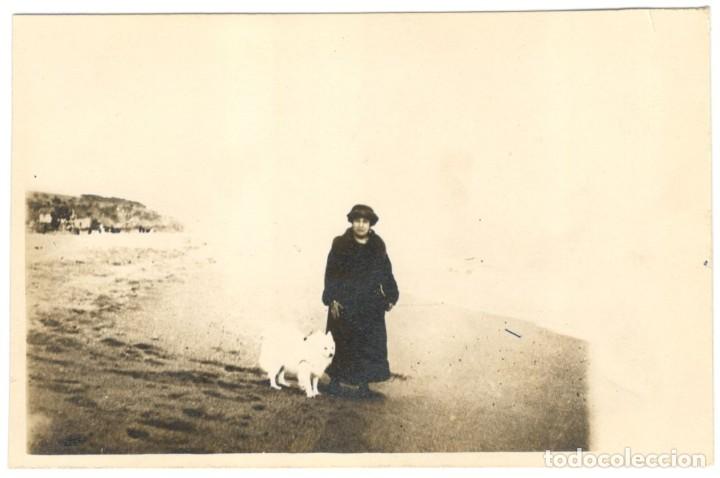 Cartes Postales: POSTAL FOTOGRAFICA: MUJER CON PERRO BLANCO EN LA COSTA BRAVA - A&Ntilde;OS 20. sin circular