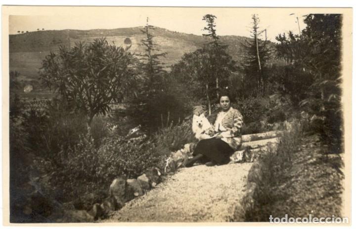 Postcards: POSTAL FOTOGRAFICA: MUJER CON PERRO BLANCO - A&Ntilde;OS 20 - sin circular