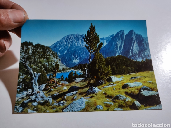 Postales: Postal el pallars