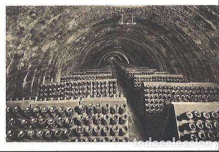 Postais: ANTIGUA POSTAL CASA CODORNIU SAN SADURN DE NOYA N&ordm; 10 BOTELLAS EN PUPITRES