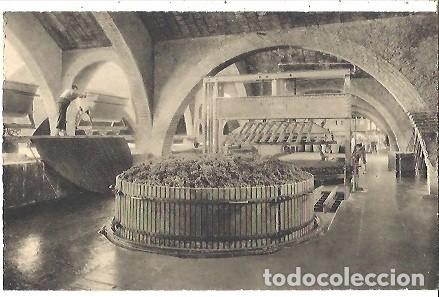 Postais: ANTIGUA POSTAL CASA CODORNIU SAN SADURNI DE NOYA N&ordm; 3 UNA DE LAS PRENSAS