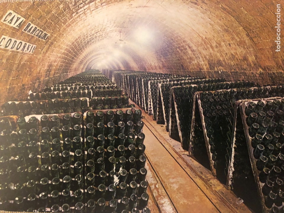 Postales: N&deg; 51553 POSTAL CAVAS CODORNIU BOTELLAS EN PUPITRE