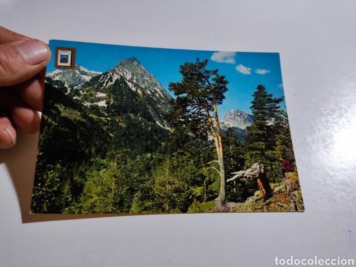 Postales: Postal vall de espot