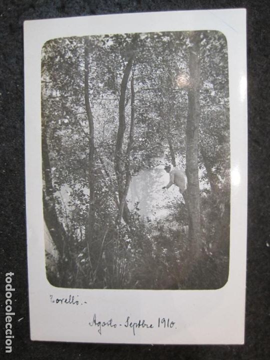 Cartoline: TORELLO-A&Ntilde;O 1910-FOTOGRAFICA-POSTAL ANTIGUA-(90.366)