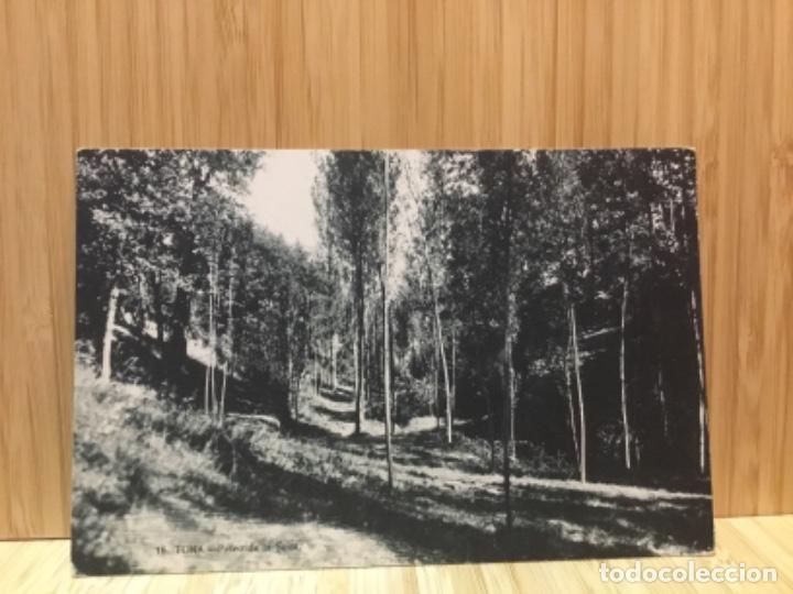 Postcards: TONA. PASEO DE LA SUIZA.