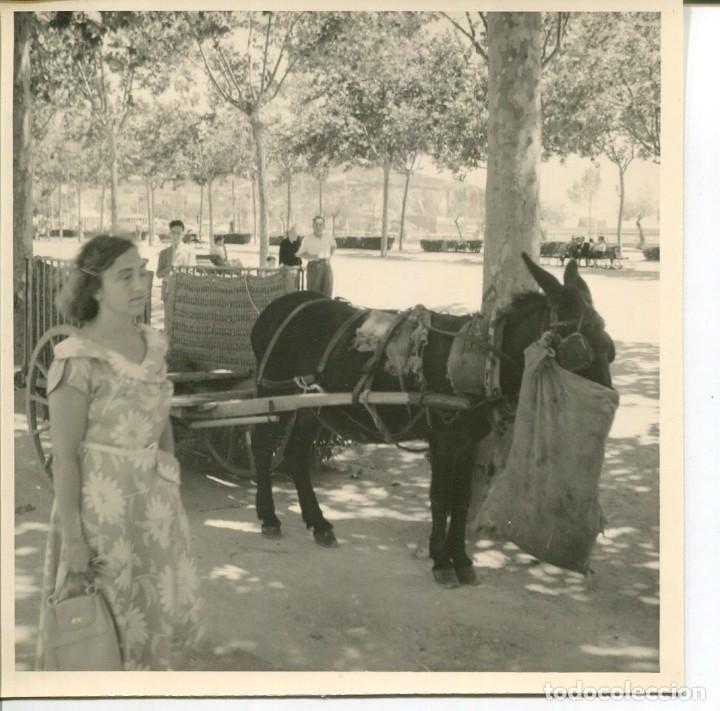 Postales: SAN FELIU DE GUIXOLS-PASEO Y CARRO CON BURRO-FOTOGR&Aacute;FICA A&Ntilde;OS 1950-RARA