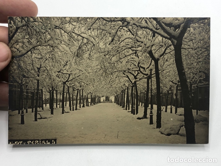 Postales: TARJETA POSTAL OLOT FERIAL 5 SIN CIRCULAR. - Foto 1
