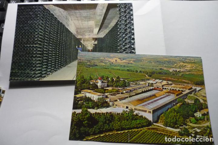 Postales: lote postales cavas codorniu - Foto 1