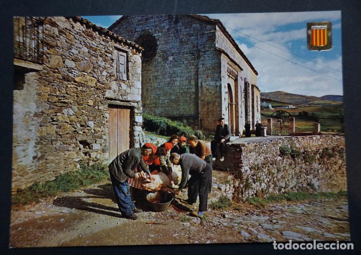 Postales: Moll&oacute;, Matan&ccedil;a del Porc, antigua postal Escudo de Oro colecci&oacute;n CATALUNYA TIPICA sin circular