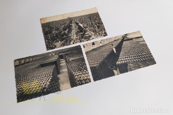 Postales: Postales Antiguas - cavas CODORNIU - San Sadurn&iacute; de Noya