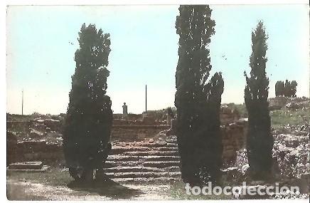 Postales: ANTIGUA POSTAL AMPURIAS TEMPLO DE ESCULAPIO Y ESTATUA DEL MISMO FOTOS S MARTI