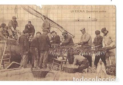 Postkarten: ANTIGUA POSTAL LA ESCALA DESMALLANT SARDINA J ESQUIROL