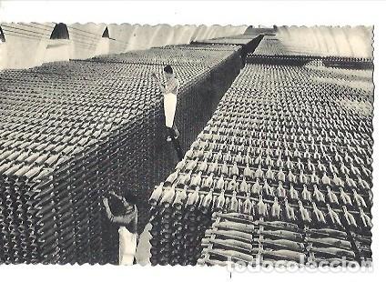 Postkarten: ANTIGUA POSTAL CASA CODORNIU SAN SADURNI DE NOYA N&ordm; 8 UNA BODEGA EN INVIERNO