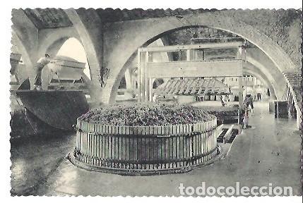 Postais: ANTIGUA POSTAL CASA CODORNIU SAN SADURNI DE NOYA N&ordm; 2 UNA DE LAS PRENSAS