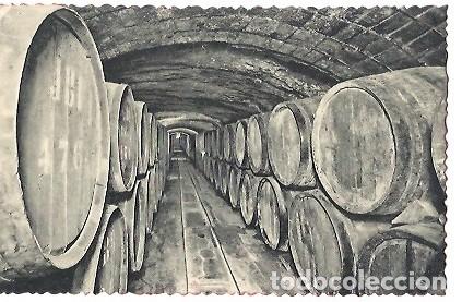 Postais: ANTIGUA POSTAL CASA CODORNIU SAN SADURNI DE NOYA N&ordm; 6 VINOS EN CRIANZA