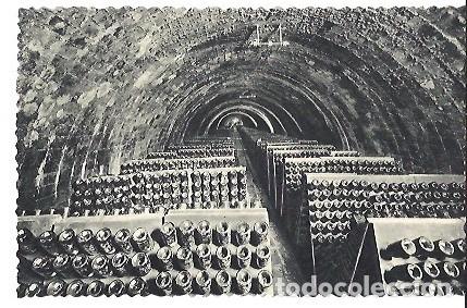 Postais: ANTIGUA POSTAL CASA CODORNIU SAN SADURNI DE NOYA N&ordm; 10 BOTELLAS EN PUPITRES