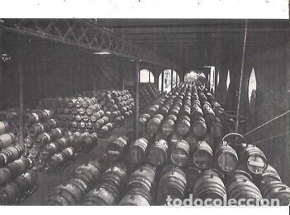 Postales: ANTIGUA POSTAL CASA CODORNIU SAN SADURNI DE NOYA N&ordm; 3 UNA BODEGA