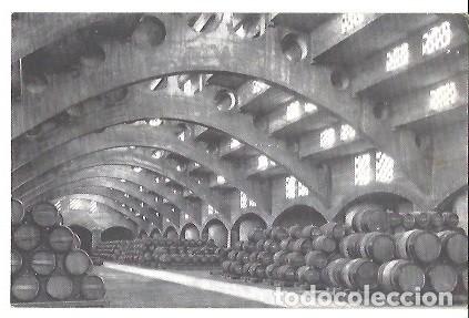 Postales: ANTIGUA POSTAL CASA CODORNIU SAN SADURNI DE NOYA N&ordm; 4 UNA BODEGA