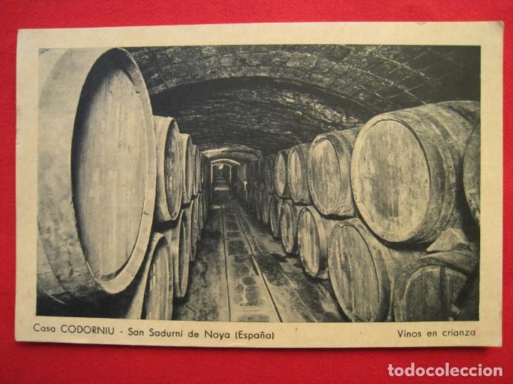 Postales: POSTAL - CASA CODORNIU - SAN SADURNI DE NOYA - VINOS EN CRIANZA.